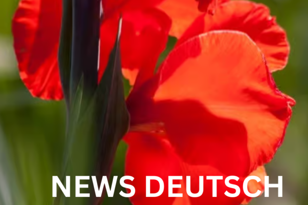 Geburtsblume August – Bedeutung, Symbolik und Wissenswertes