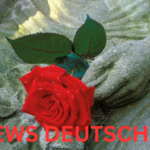 Die Bedeutung der Kondolenz Ein Zeichen des Mitgefühls und der Unterstützung