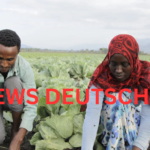 Engagement Farming als Schlüsselstrategie für digitale Sichtbarkeit in sozialen Medien