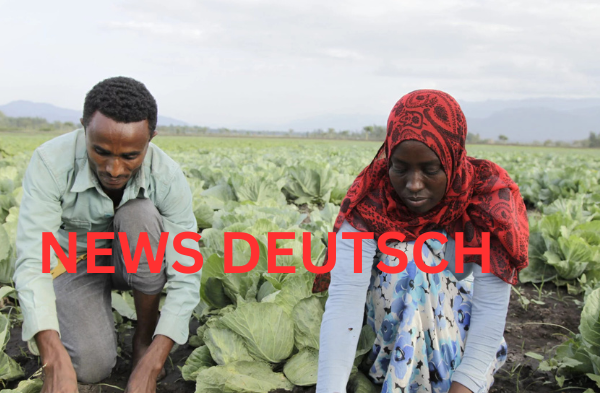 Engagement Farming als Schlüsselstrategie für digitale Sichtbarkeit in sozialen Medien