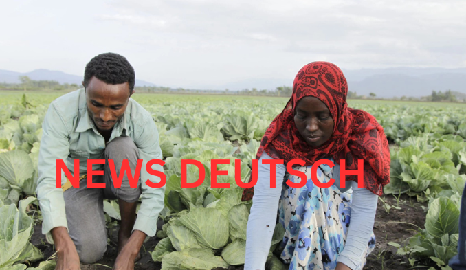 Engagement Farming als Schlüsselstrategie für digitale Sichtbarkeit in sozialen Medien