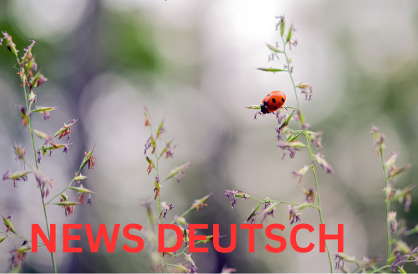 Kraft Gebende Sprüche: Inspiration für den Alltag Kraft Gebende Sprüche Inspiration für den Alltag