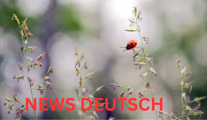 Kraft Gebende Sprüche Inspiration für den Alltag